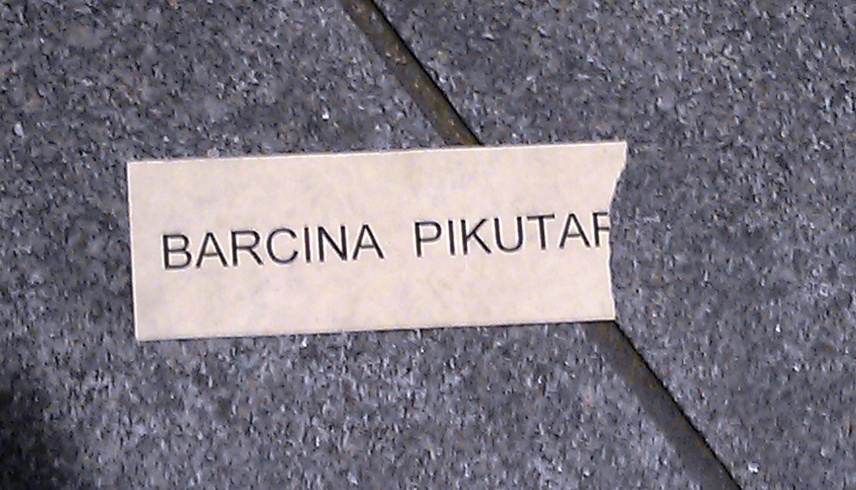 barcinapikutara